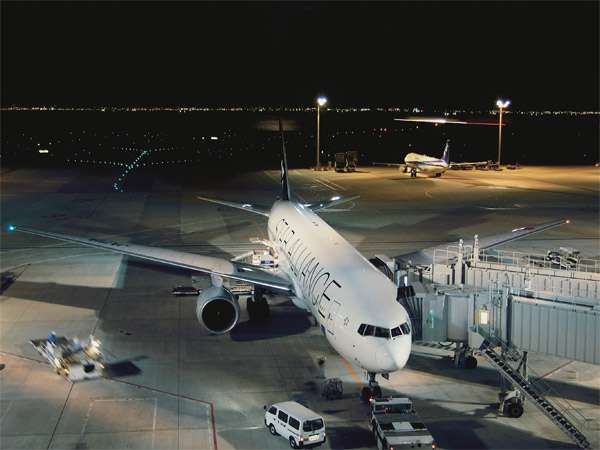 �H�c��`�z�e���̉摜